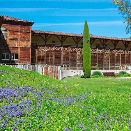 Lumineux Pour 2, Proche Thermes, Wifi Et Animaux Admis - Fr-1-841-38 Lägenhet Barbotan-les-Thermes