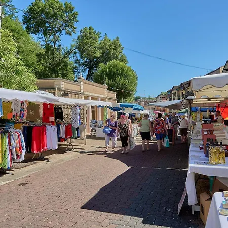 Apartman Lumineux Pour 2, Proche Thermes, Wifi Et Animaux Admis - Fr-1-841-38 Barbotan-les-Thermes