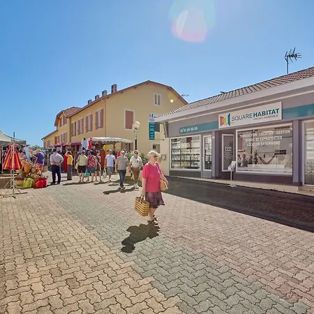 Lumineux Pour 2, Proche Thermes, Wifi Et Animaux Admis - Fr-1-841-38 Lägenhet Barbotan-les-Thermes